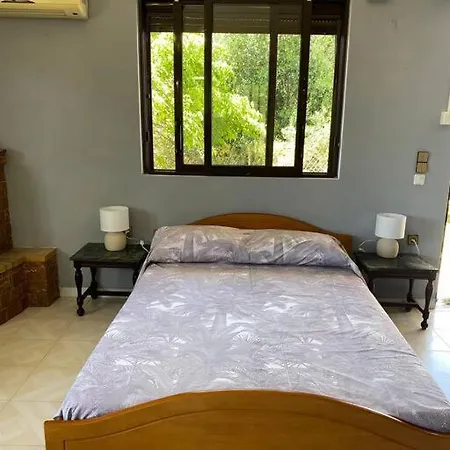 Alice's * ארגוסטולי